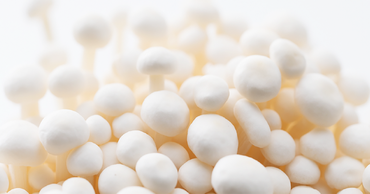 えのきレシピ | 加藤えのき